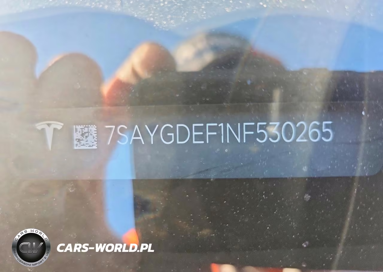 2022 Tesla Model Y VIN:7SAYGDEF1NF530265 - 12