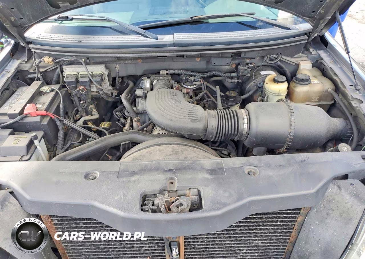 2006 Ford F150 VIN:1FTRX14W56KD41740 - 11