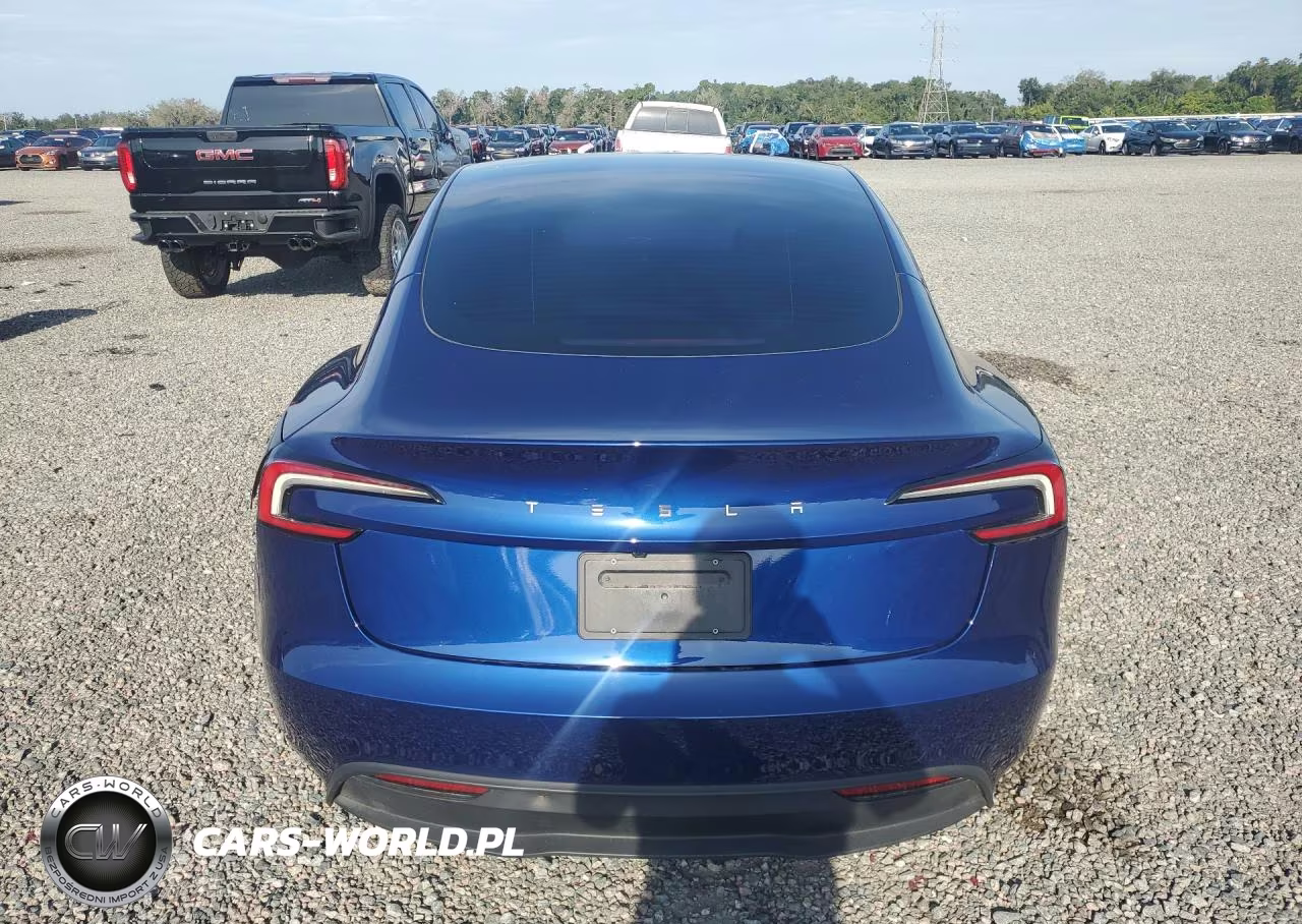 2025 Tesla Model 3 VIN:5YJ3E1EA9SF922440 - 6