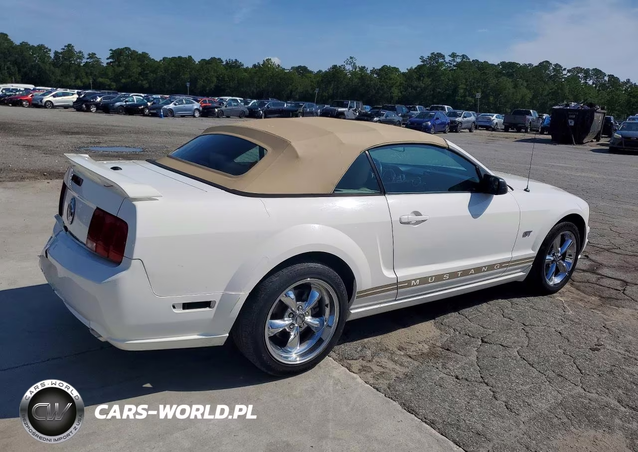 2007 Ford Mustang Gt VIN:1ZVFT85H875337945 - 3