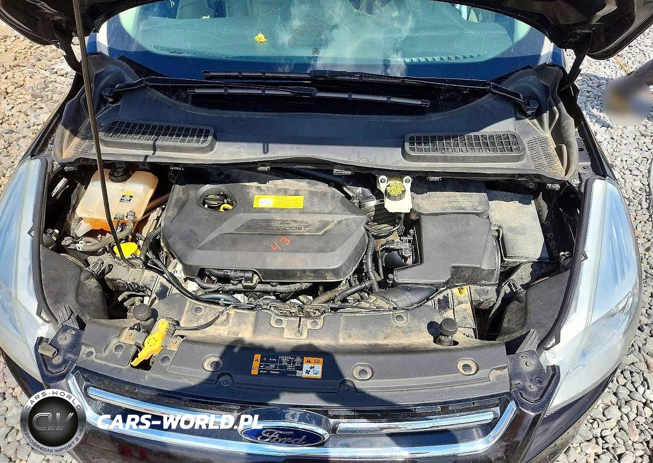 2013 Ford Escape Sel VIN:1FMCU0HX1DUB52110 - 12