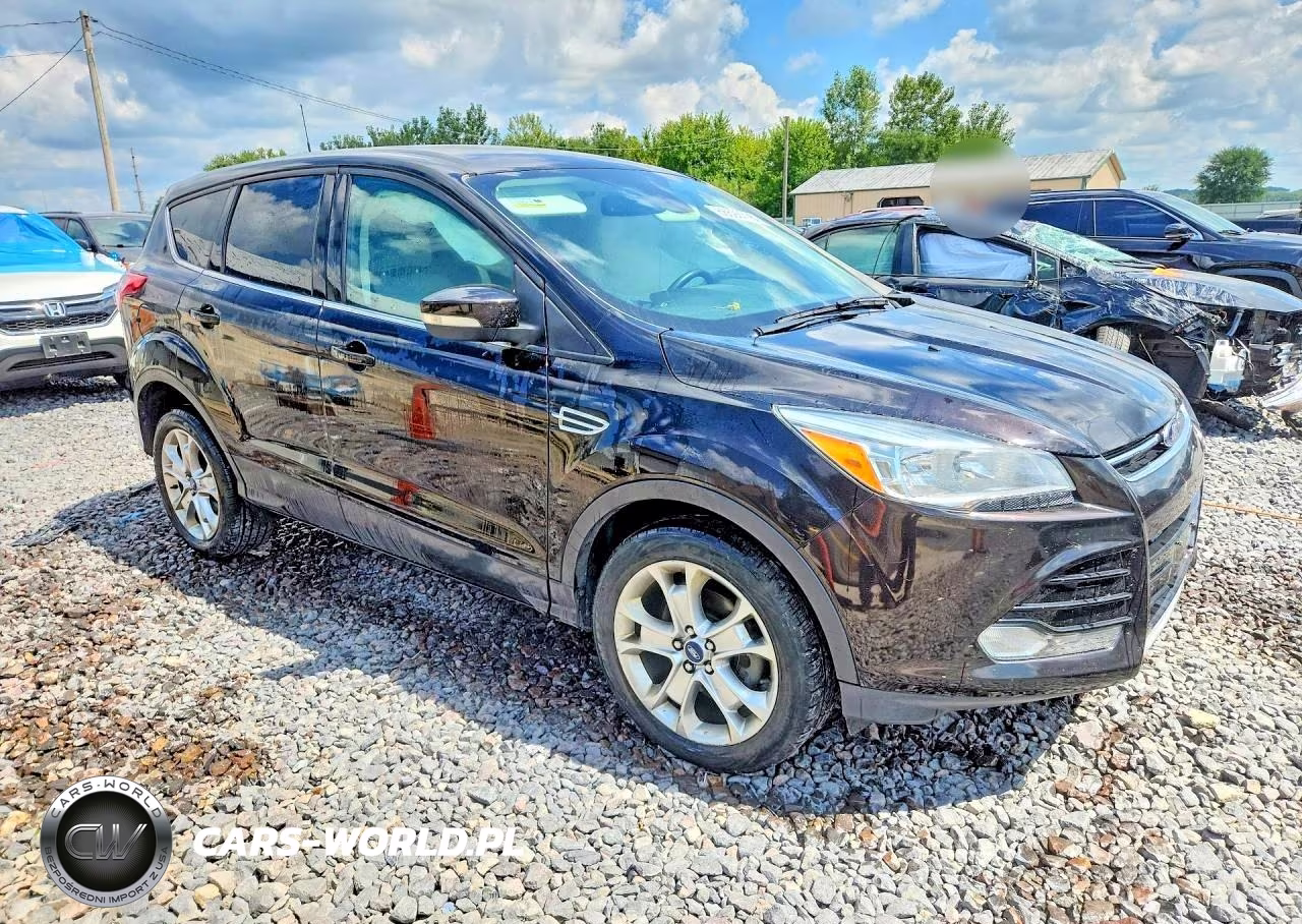 2013 Ford Escape Sel VIN:1FMCU0HX1DUB52110 - 4