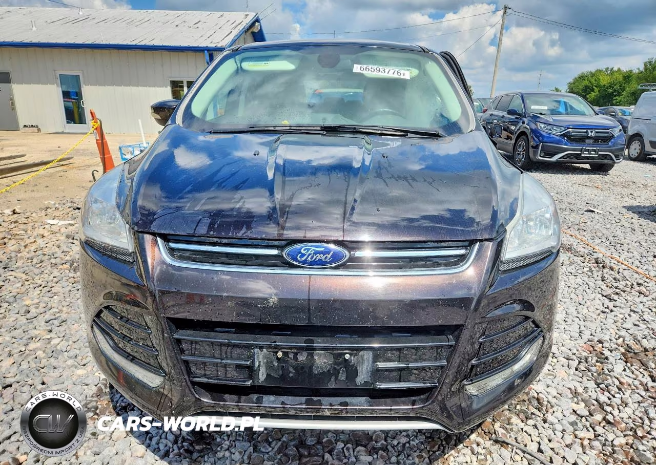 2013 Ford Escape Sel VIN:1FMCU0HX1DUB52110 - 5