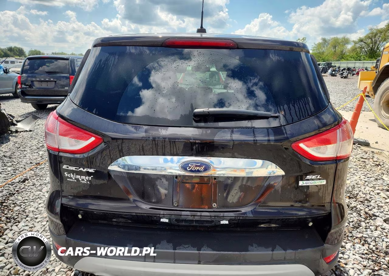 2013 Ford Escape Sel VIN:1FMCU0HX1DUB52110 - 6
