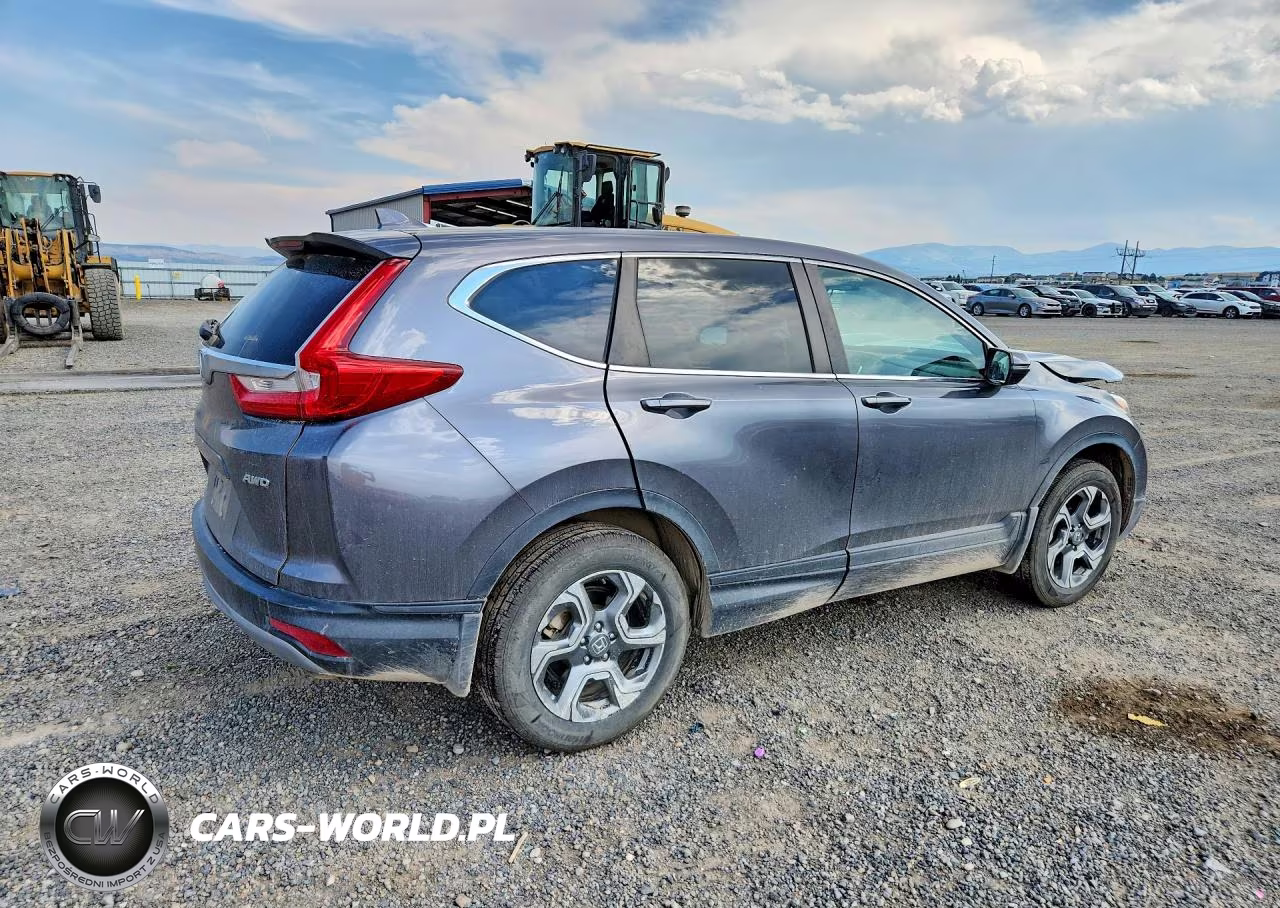 2019 Honda Cr-V Exl VIN:JHLRW2H87KX022604 - 3