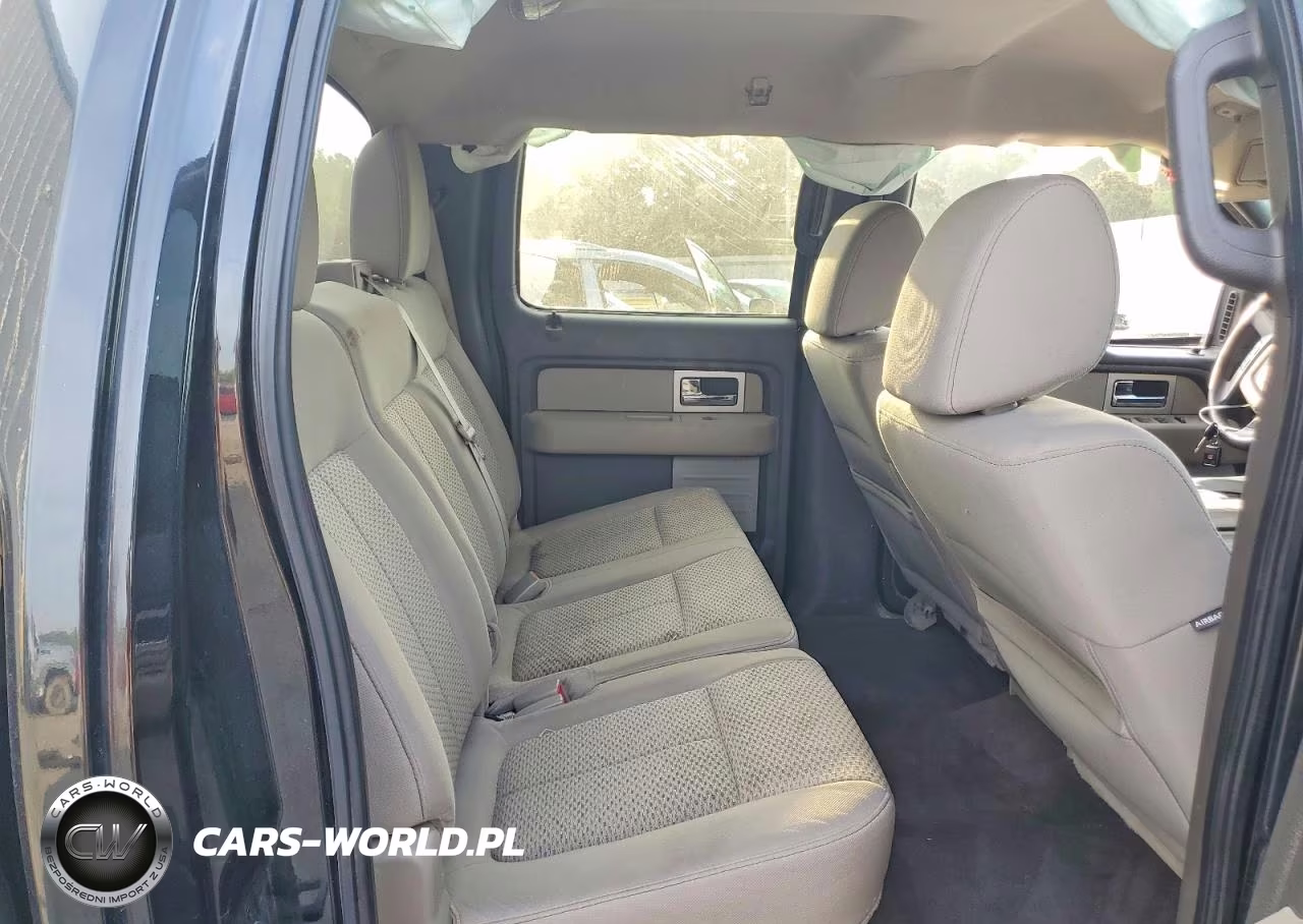 2010 Ford F150 Supercrew VIN:1FTFW1EV4AFD82728 - 10