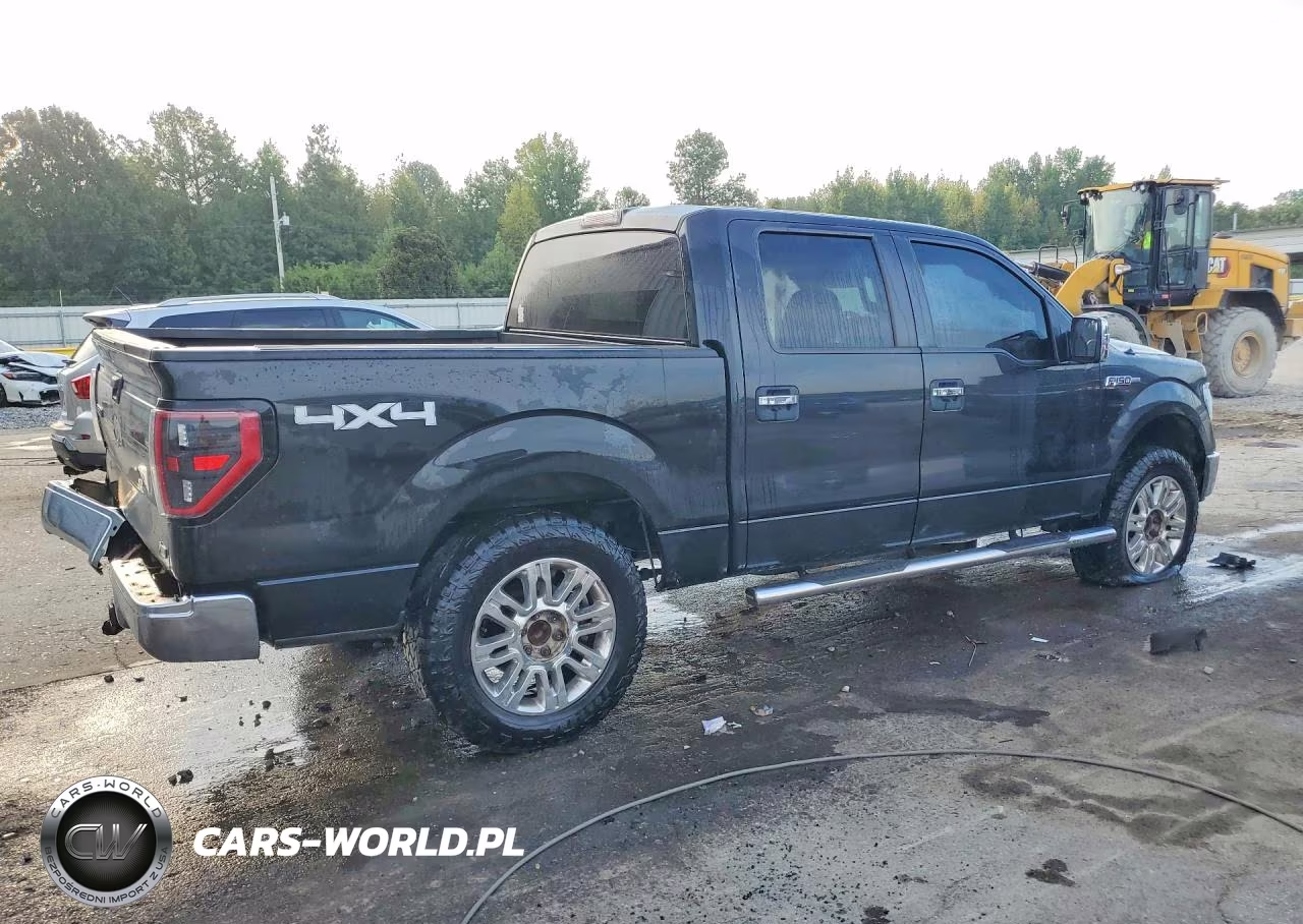 2010 Ford F150 Supercrew VIN:1FTFW1EV4AFD82728 - 3