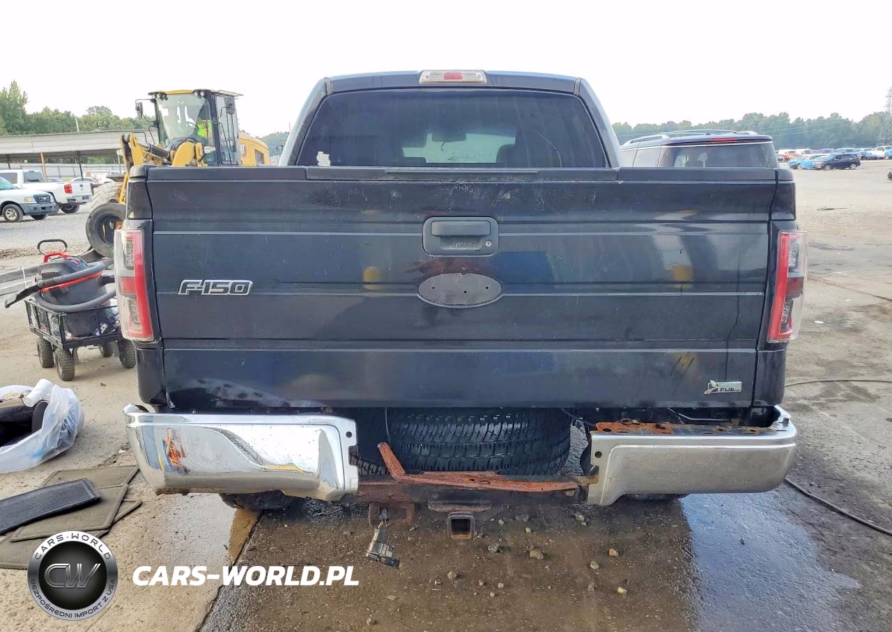 2010 Ford F150 Supercrew VIN:1FTFW1EV4AFD82728 - 6