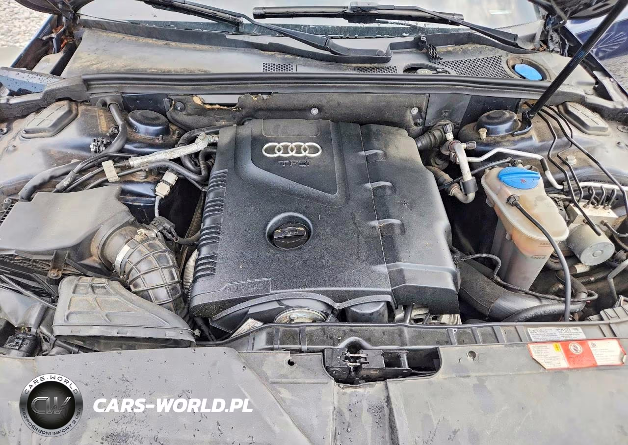 2009 Audi A4 Premium Plus VIN:WAUSF78K19N050151 - 11