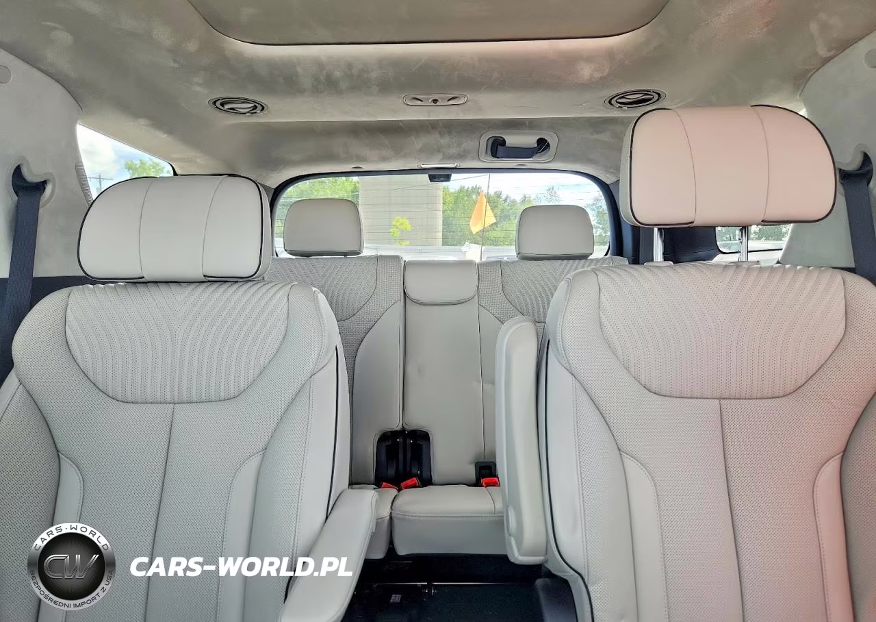 2024 Hyundai Palisade Calligraphy VIN:KM8R7DGE2RU664233 - 10