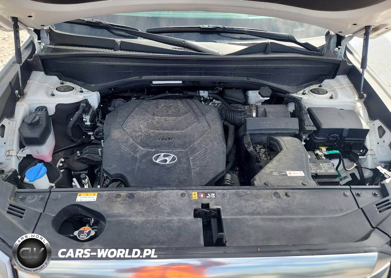2024 Hyundai Palisade Calligraphy VIN:KM8R7DGE2RU664233 - 12
