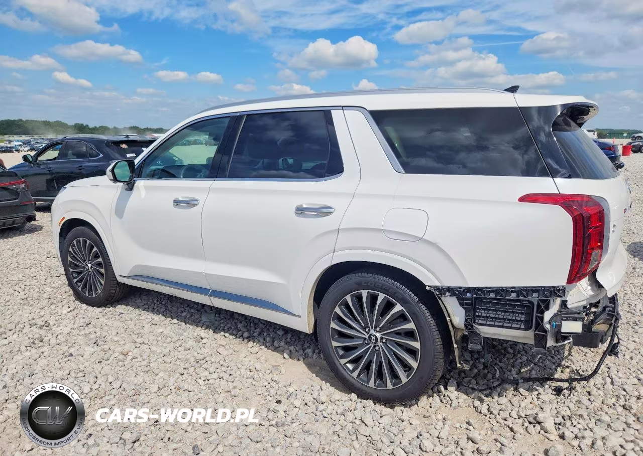 2024 Hyundai Palisade Calligraphy VIN:KM8R7DGE2RU664233 - 2