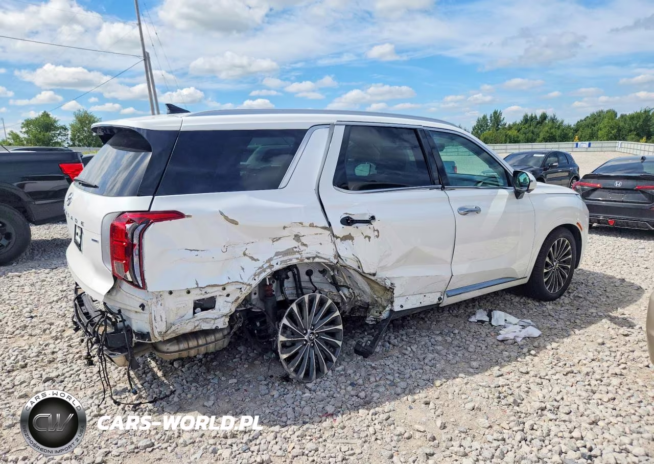 2024 Hyundai Palisade Calligraphy VIN:KM8R7DGE2RU664233 - 3