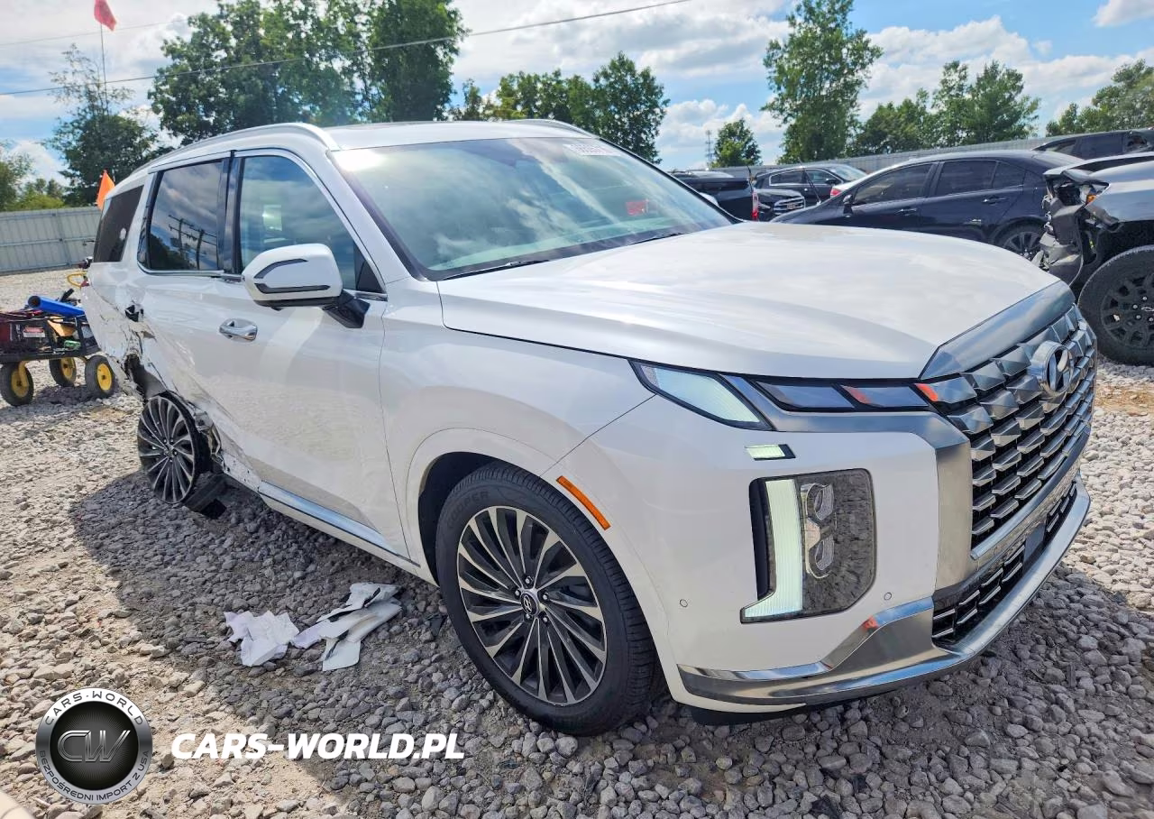 2024 Hyundai Palisade Calligraphy VIN:KM8R7DGE2RU664233 - 4