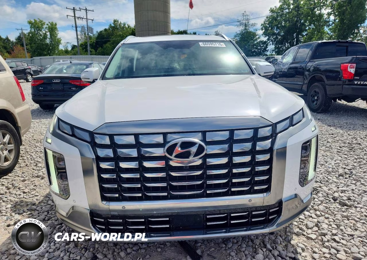 2024 Hyundai Palisade Calligraphy VIN:KM8R7DGE2RU664233 - 5
