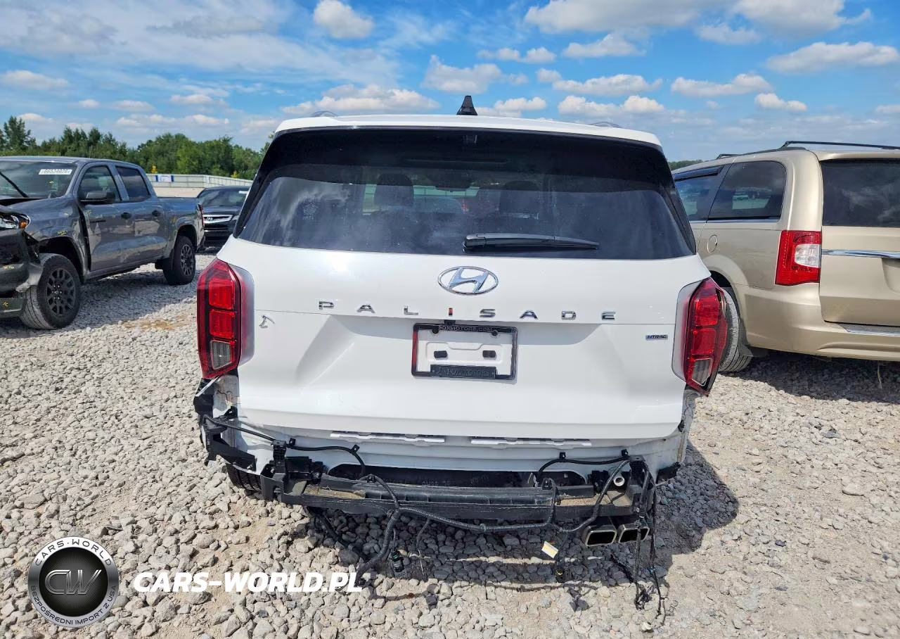 2024 Hyundai Palisade Calligraphy VIN:KM8R7DGE2RU664233 - 6