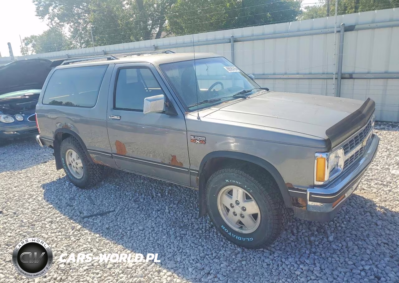 1989 Chevrolet Blazer S10 VIN:1GNCT18Z8K0103996 - 4