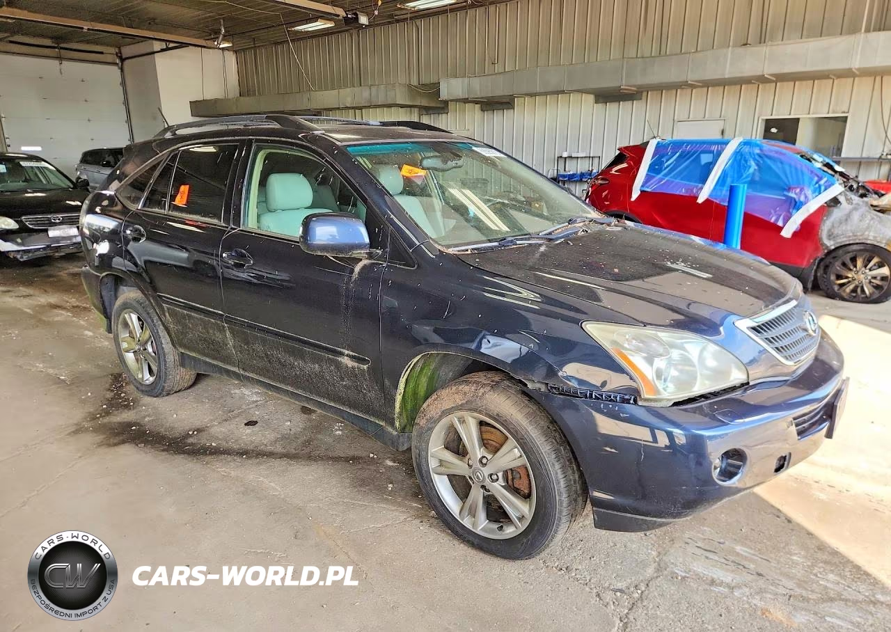 2006 Lexus Rx 400 VIN:JTJHW31U860030129 - 4