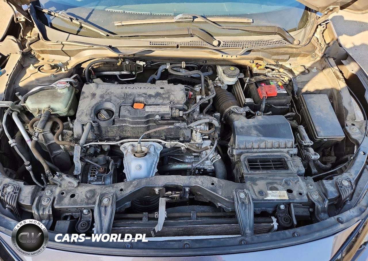 2019 Honda Civic Sport VIN:2HGFC2F83KH589071 - 11