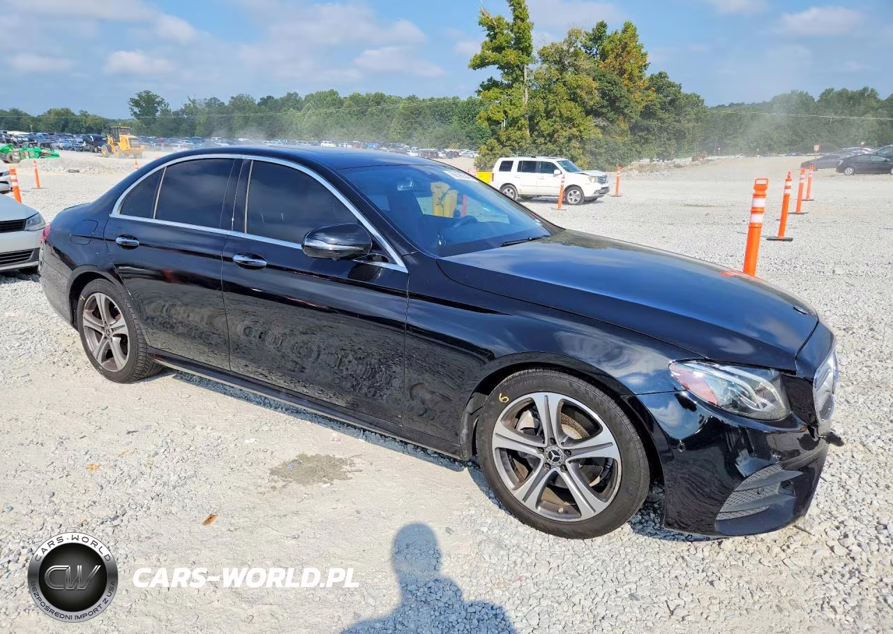 2019 Mercedes-Benz E 300 VIN:WDDZF4JB3KA524081 - 4