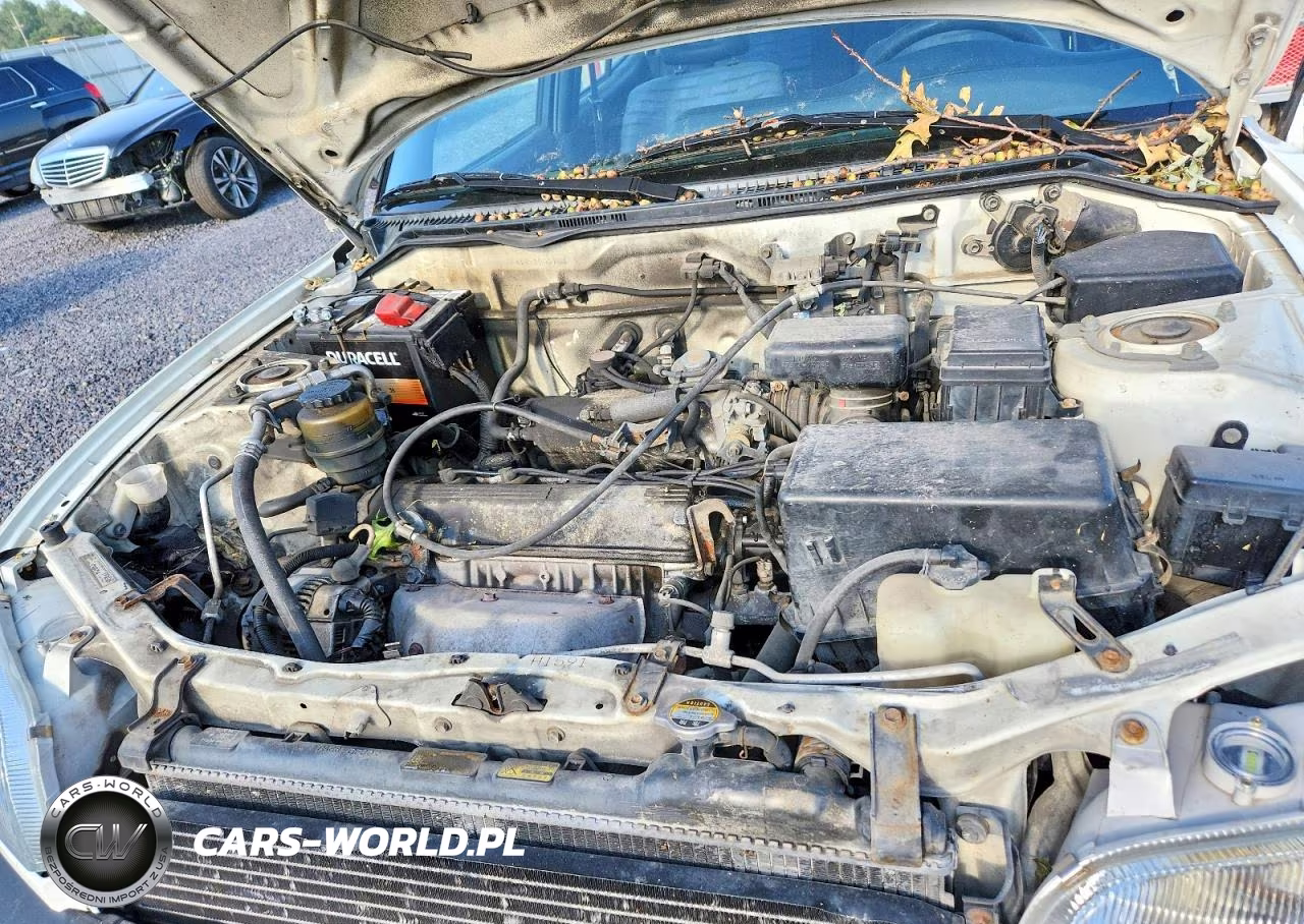 1996 Toyota Rav4 Base VIN:JT3GP10V2T7004756 - 11