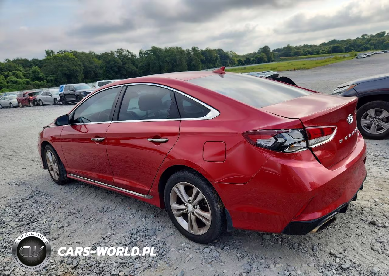 2019 Hyundai Sonata Sport VIN:5NPE34AF7KH815888 - 2