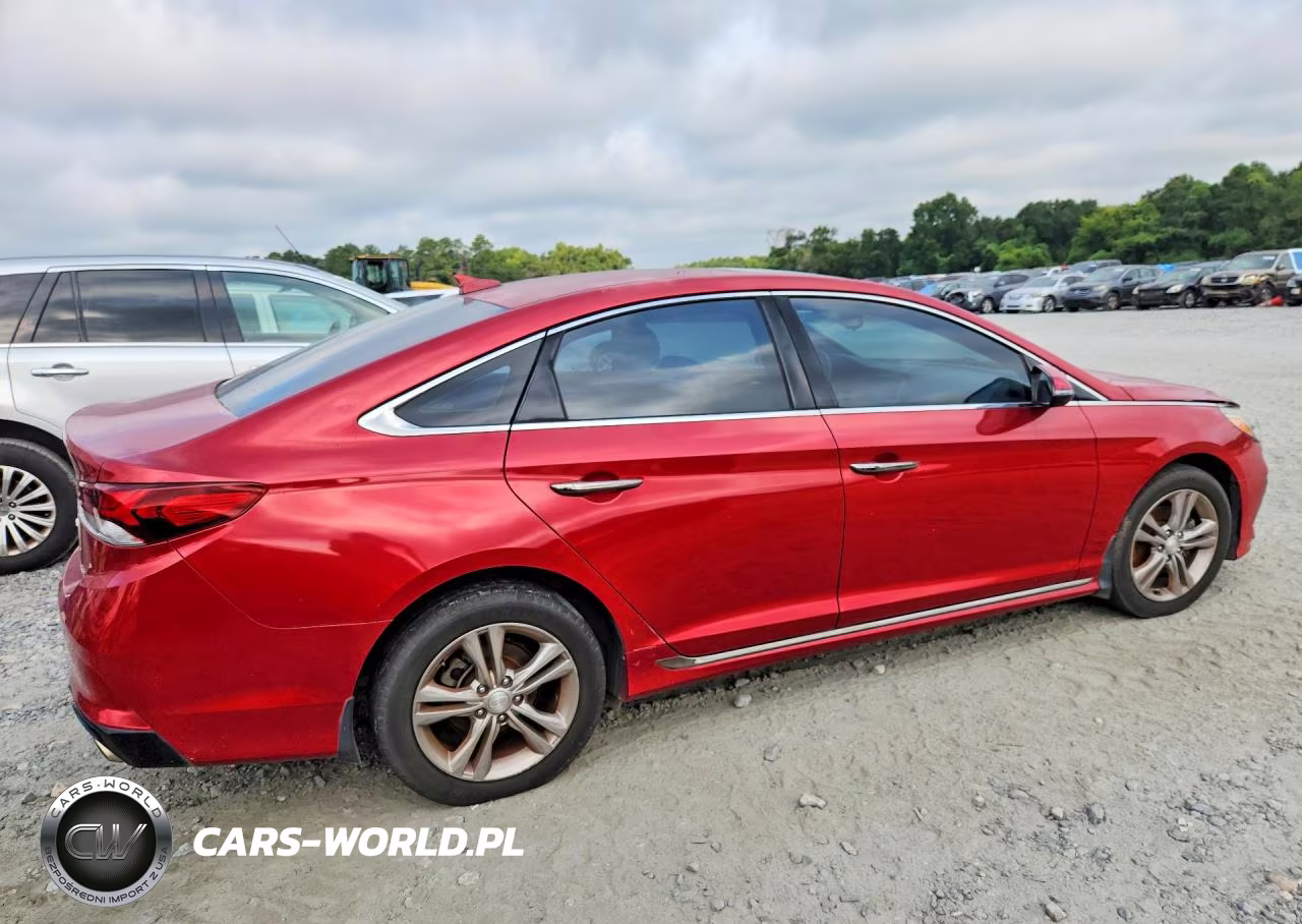 2019 Hyundai Sonata Sport VIN:5NPE34AF7KH815888 - 3