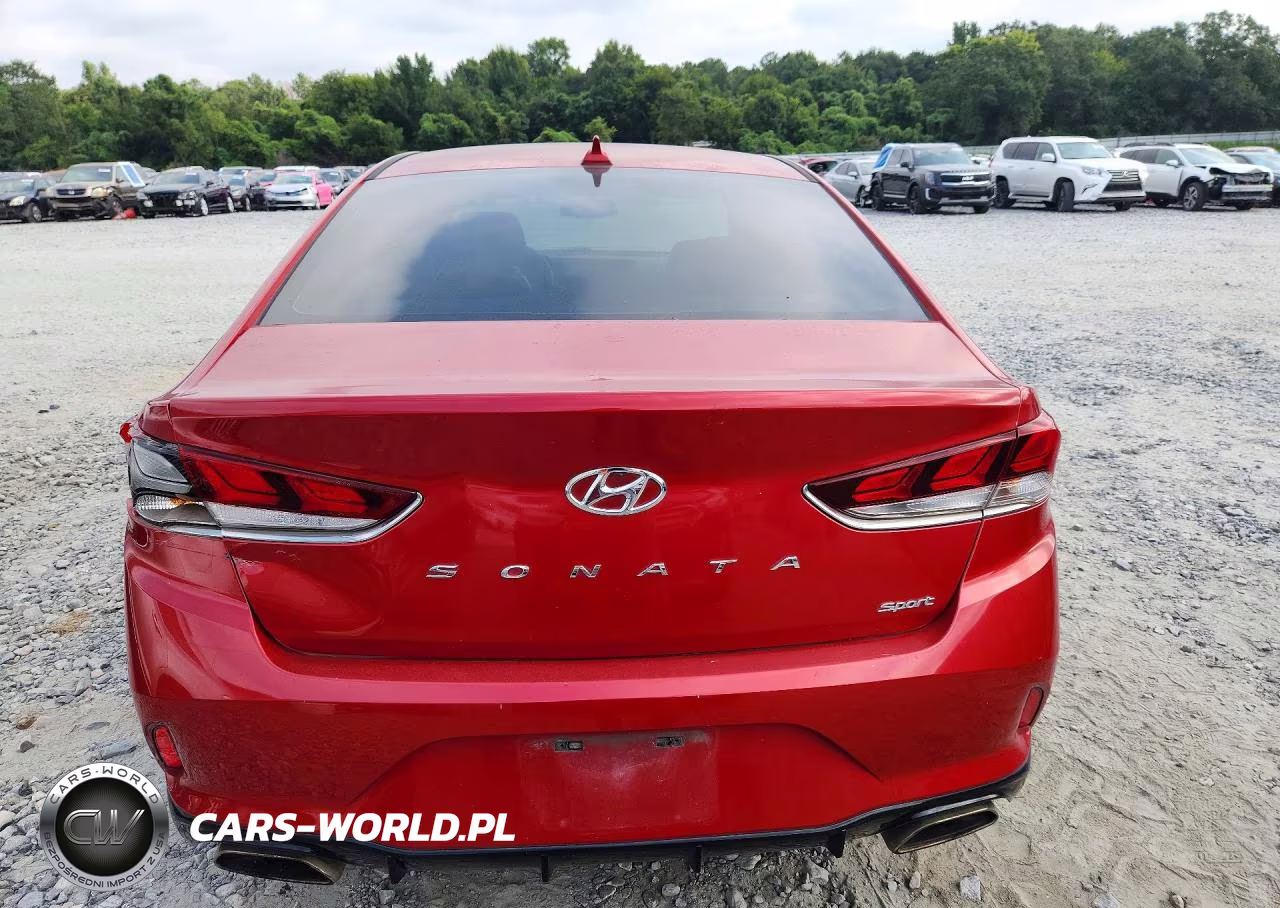 2019 Hyundai Sonata Sport VIN:5NPE34AF7KH815888 - 6