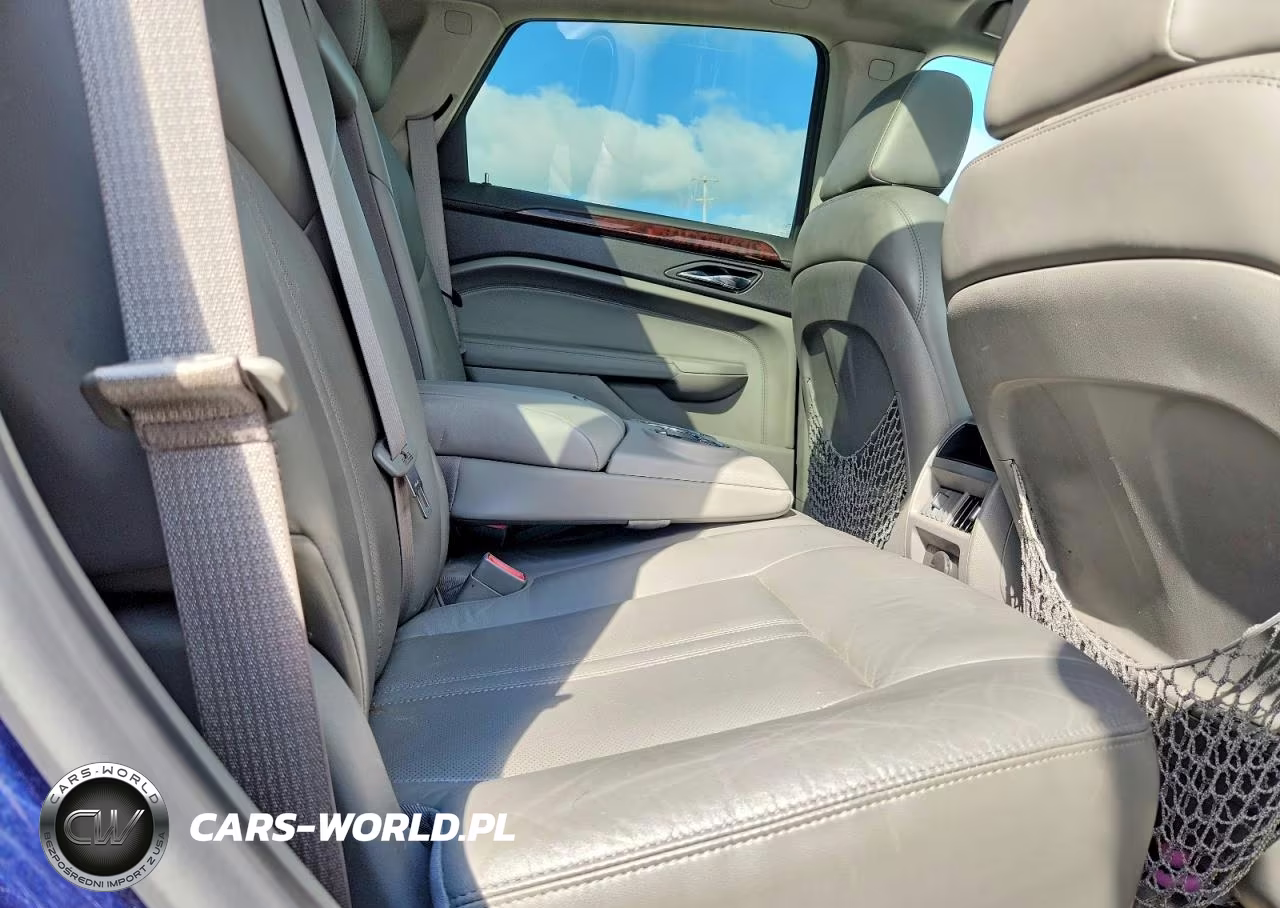 2010 Cadillac Srx Luxury Collection VIN:3GYFNAEY5AS599353 - 11