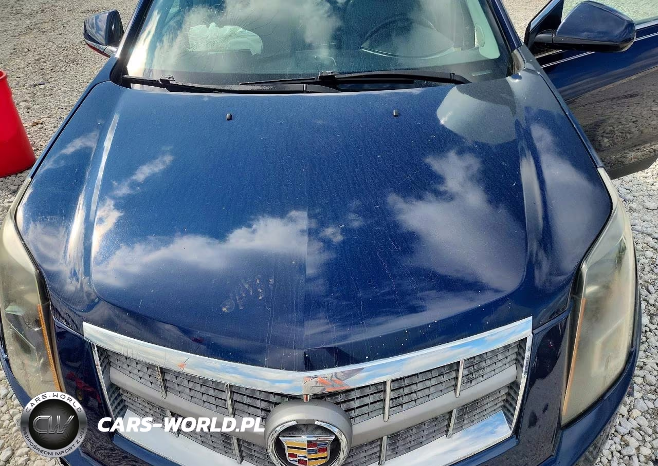 2010 Cadillac Srx Luxury Collection VIN:3GYFNAEY5AS599353 - 12