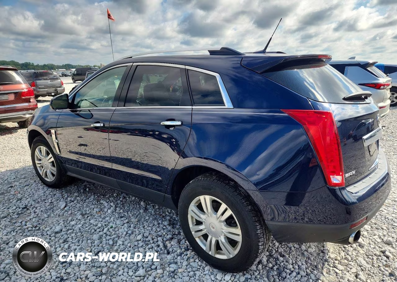 2010 Cadillac Srx Luxury Collection VIN:3GYFNAEY5AS599353 - 2