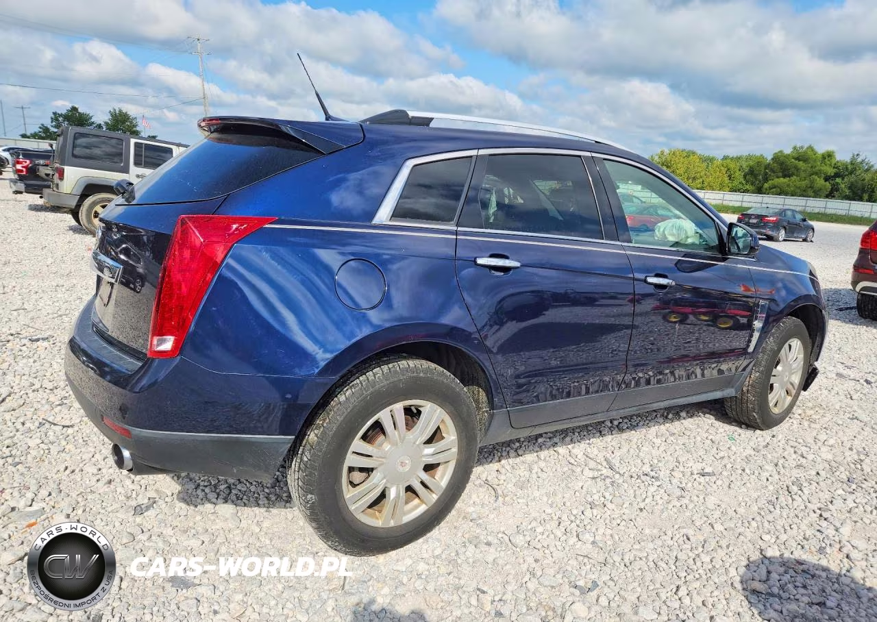 2010 Cadillac Srx Luxury Collection VIN:3GYFNAEY5AS599353 - 3