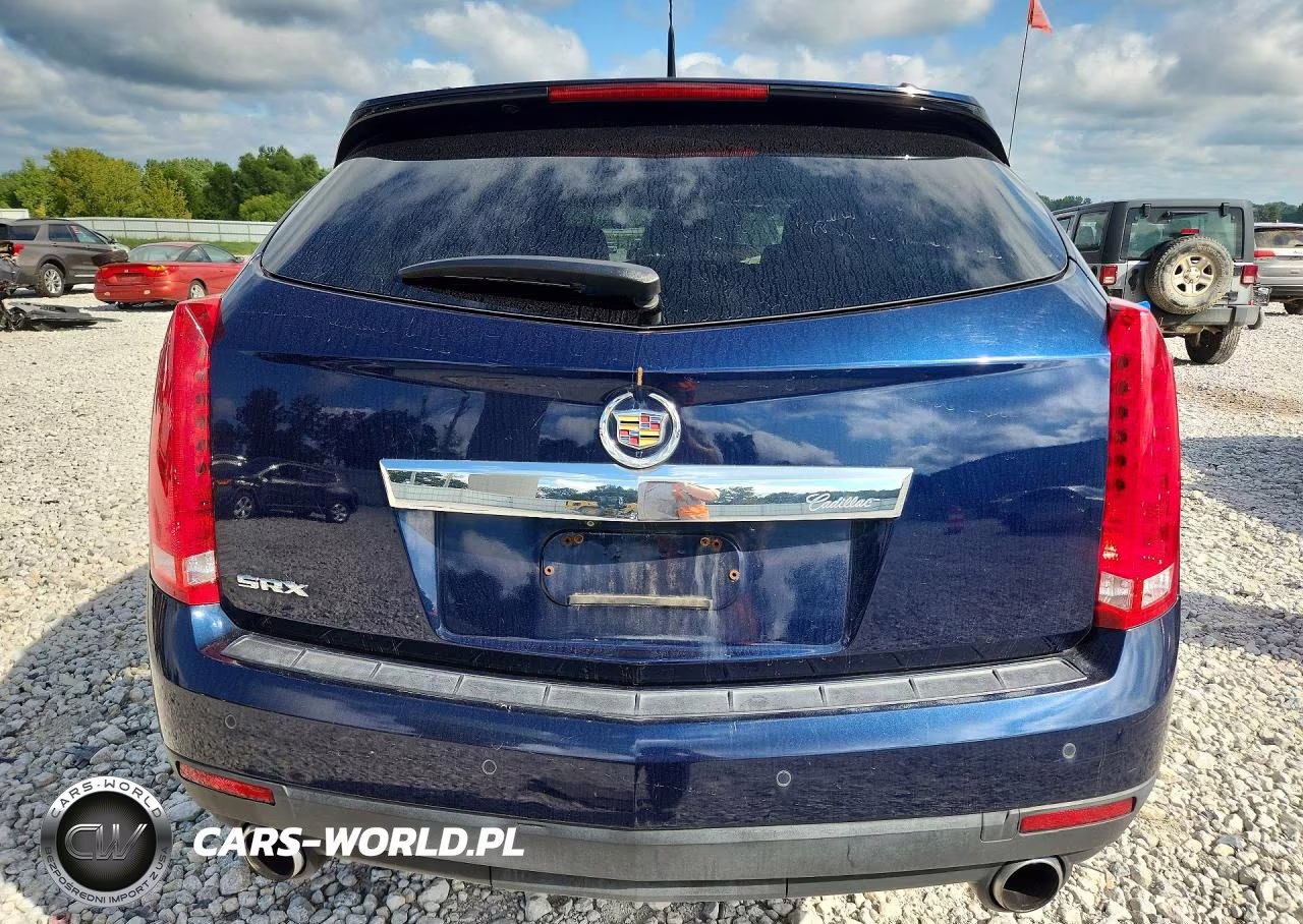 2010 Cadillac Srx Luxury Collection VIN:3GYFNAEY5AS599353 - 6