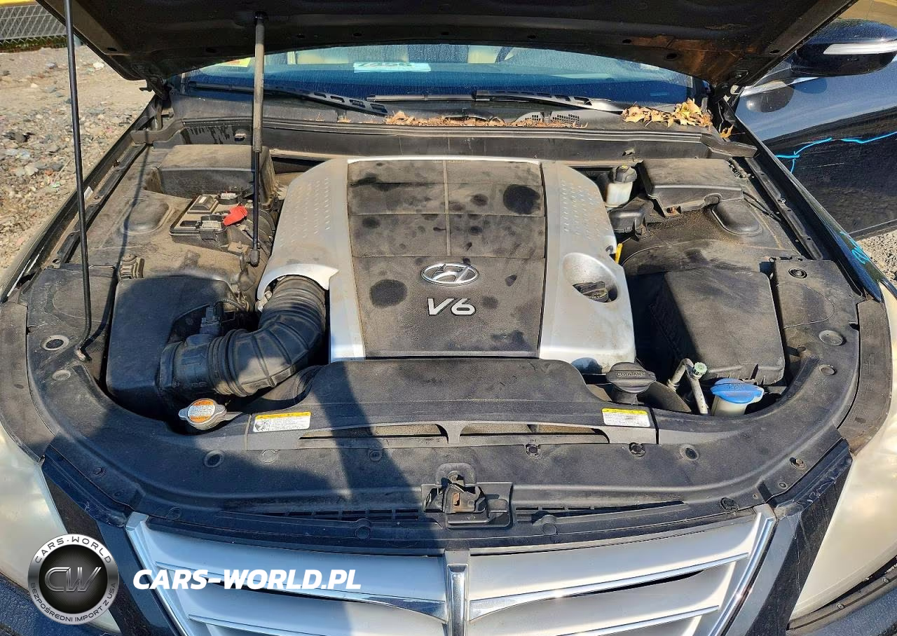2009 Hyundai Genesis 3.8L VIN:KMHGC46E59U039197 - 11