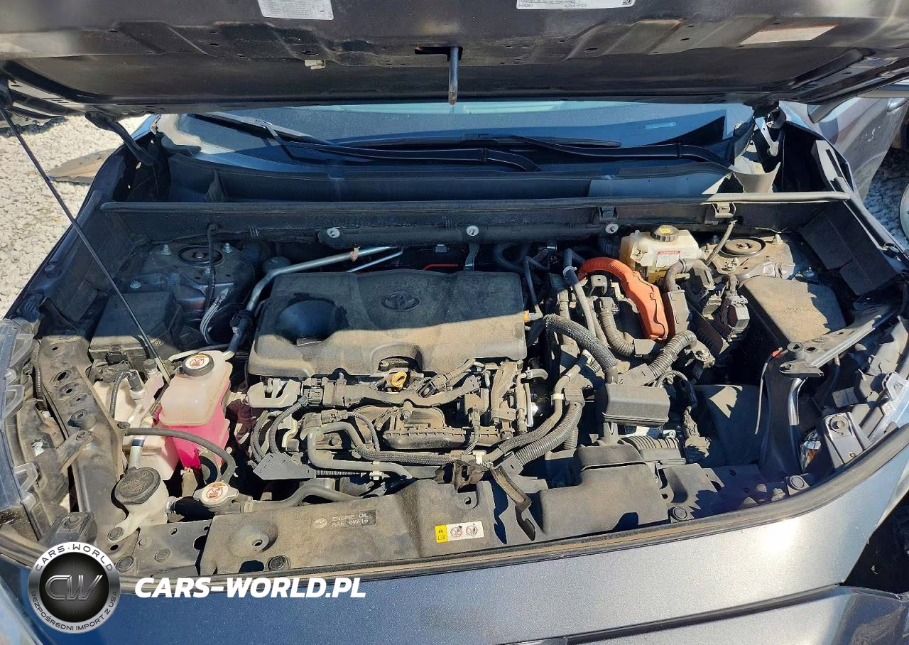 2020 Toyota Rav4 Hybrid Xle VIN:4T3RWRFV9LU001404 - 12