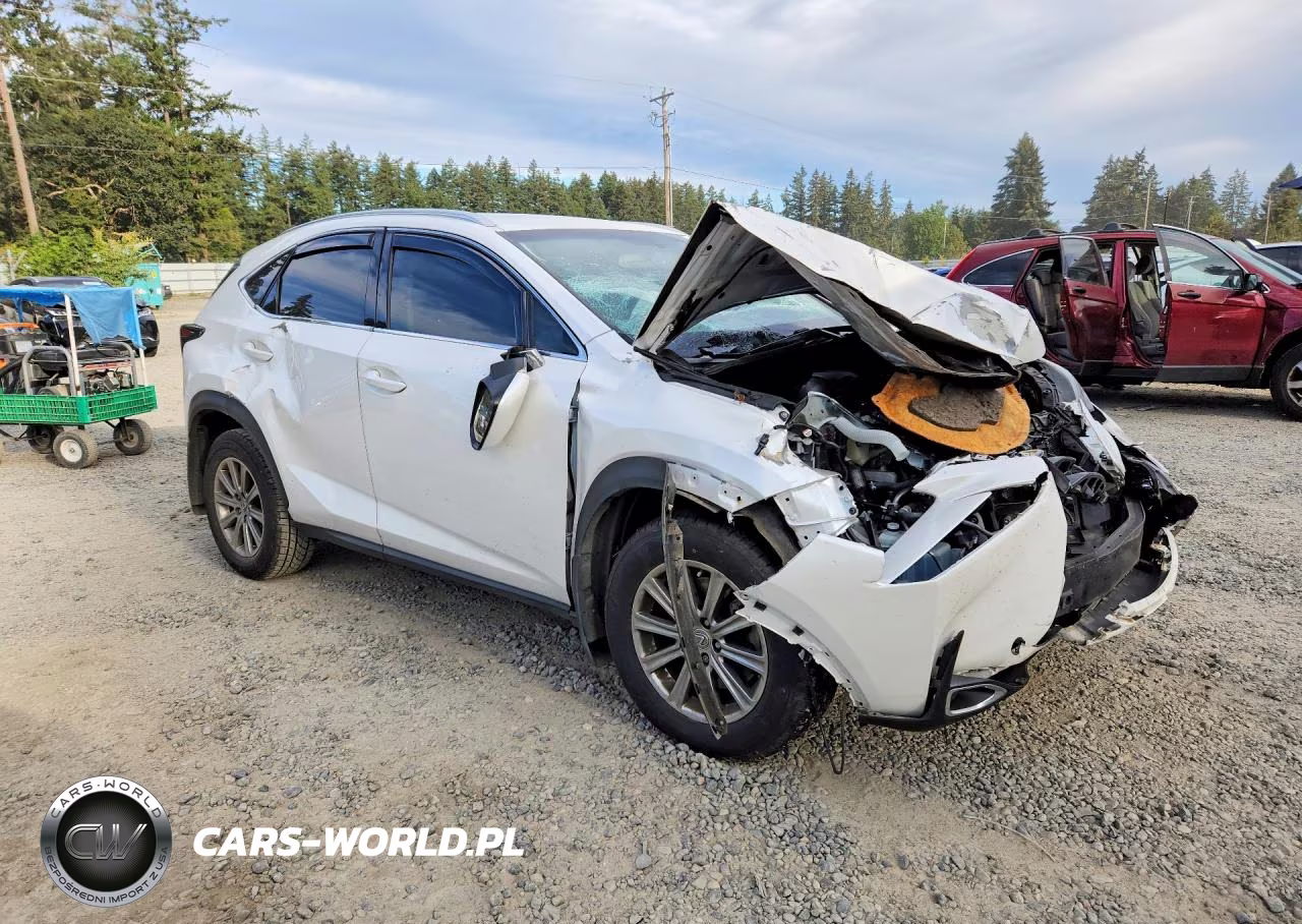 2017 Lexus Nx 200T Base VIN:JTJBARBZXH2147221 - 4