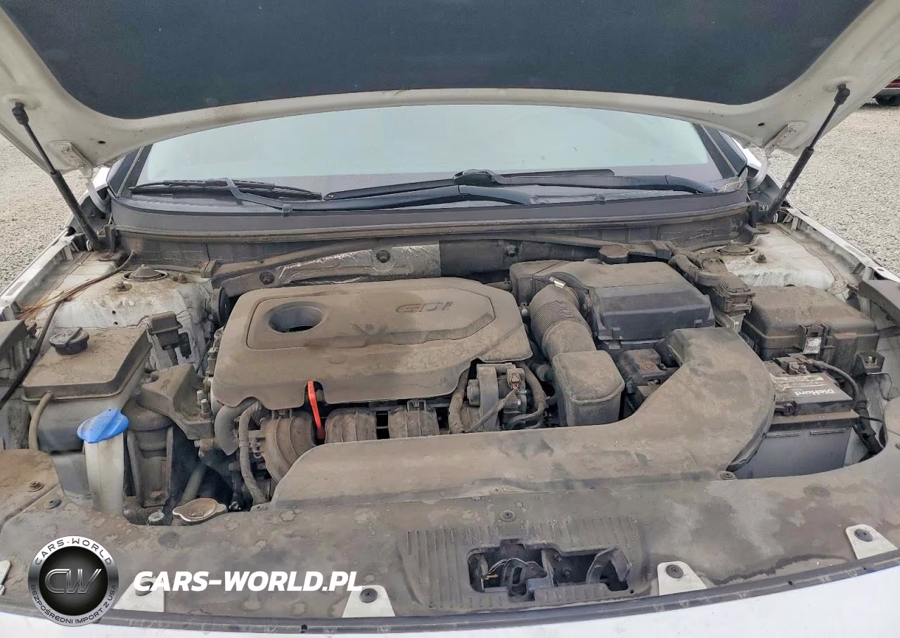 2015 Hyundai Sonata Se VIN:5NPE24AF3FH183531 - 11