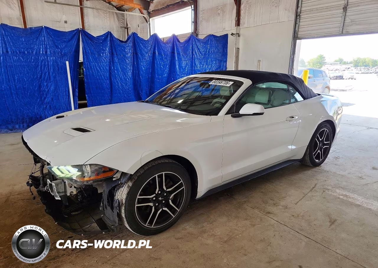 2019 Ford Mustang VIN:1FATP8UHXK5171194 - 1