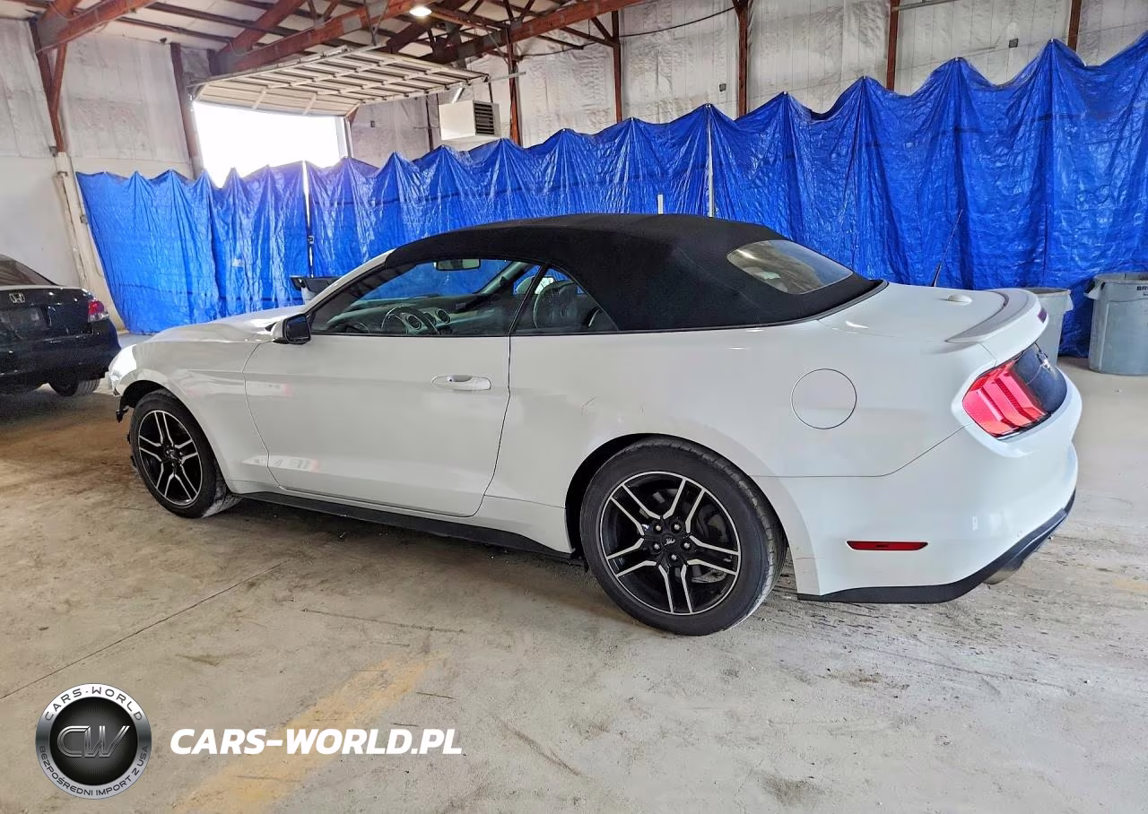 2019 Ford Mustang VIN:1FATP8UHXK5171194 - 2