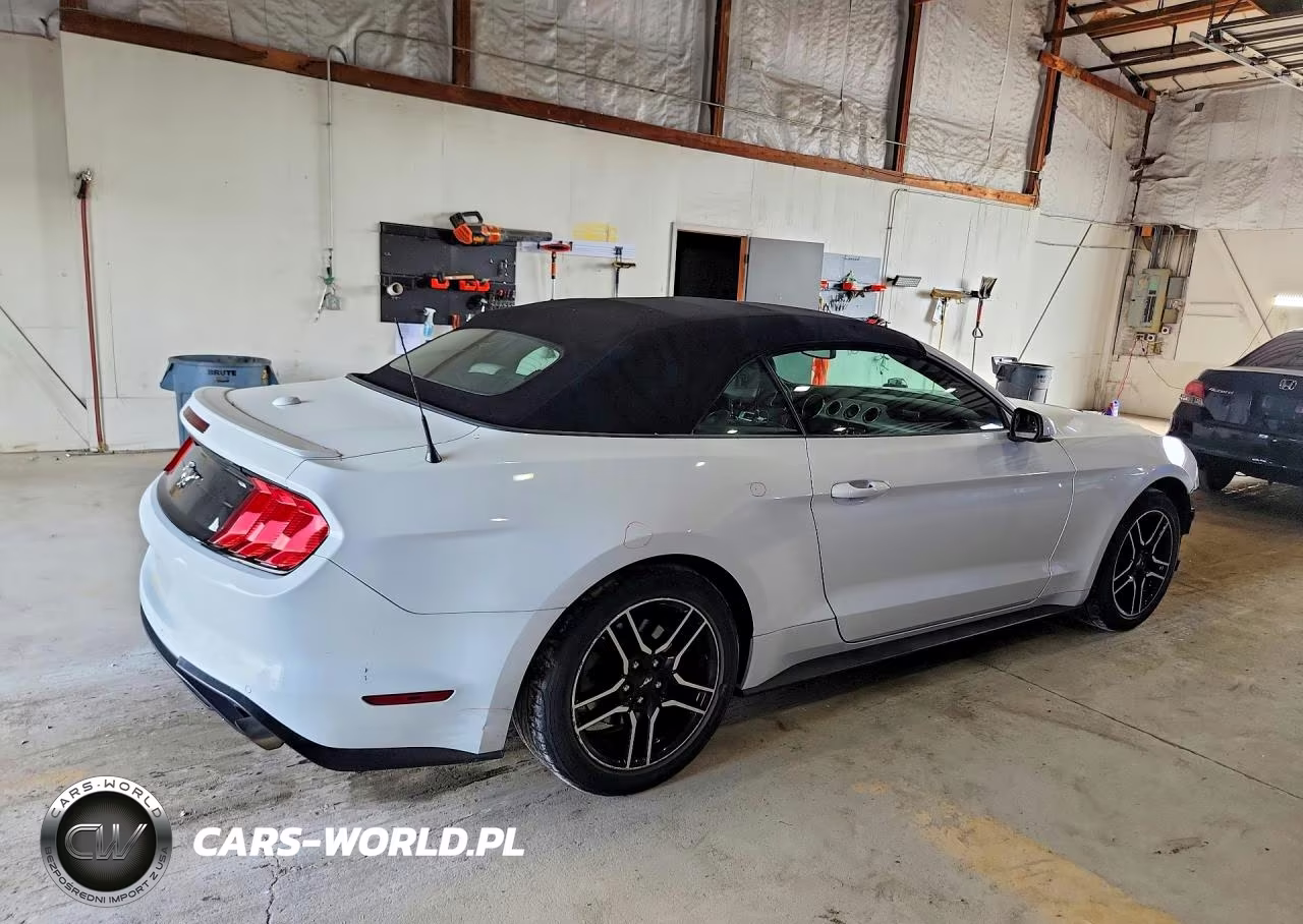 2019 Ford Mustang VIN:1FATP8UHXK5171194 - 3