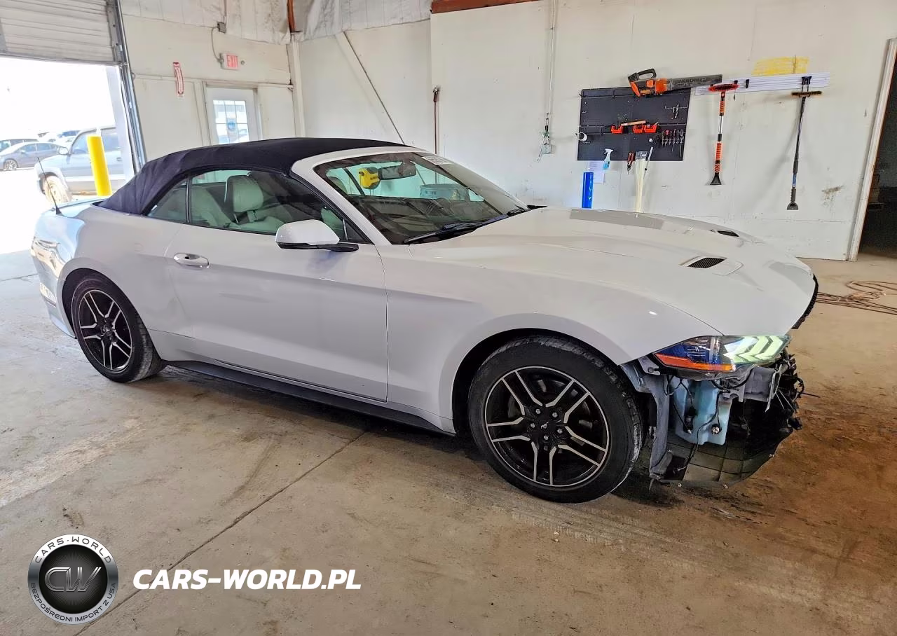 2019 Ford Mustang VIN:1FATP8UHXK5171194 - 4
