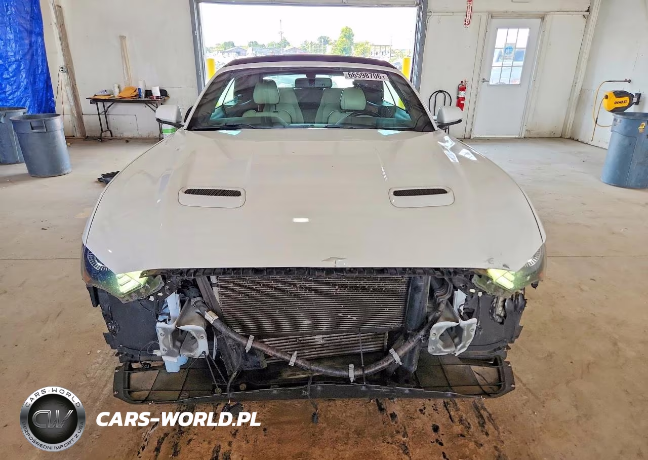 2019 Ford Mustang VIN:1FATP8UHXK5171194 - 5