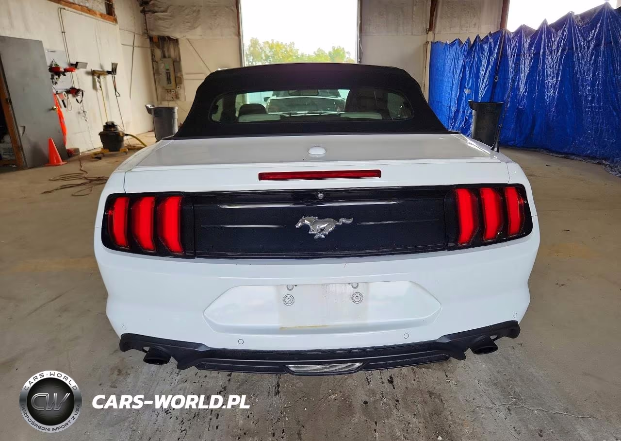 2019 Ford Mustang VIN:1FATP8UHXK5171194 - 6