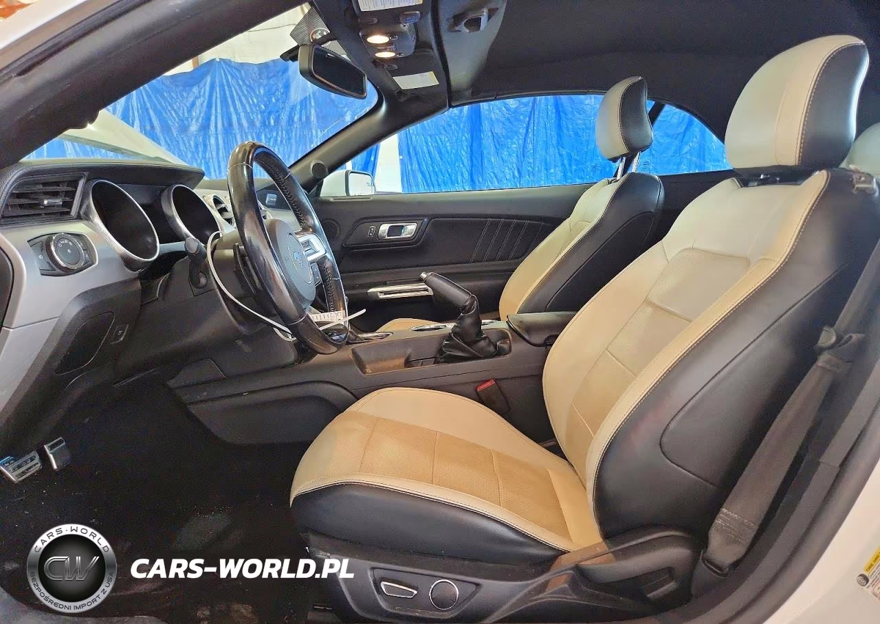 2019 Ford Mustang VIN:1FATP8UHXK5171194 - 7