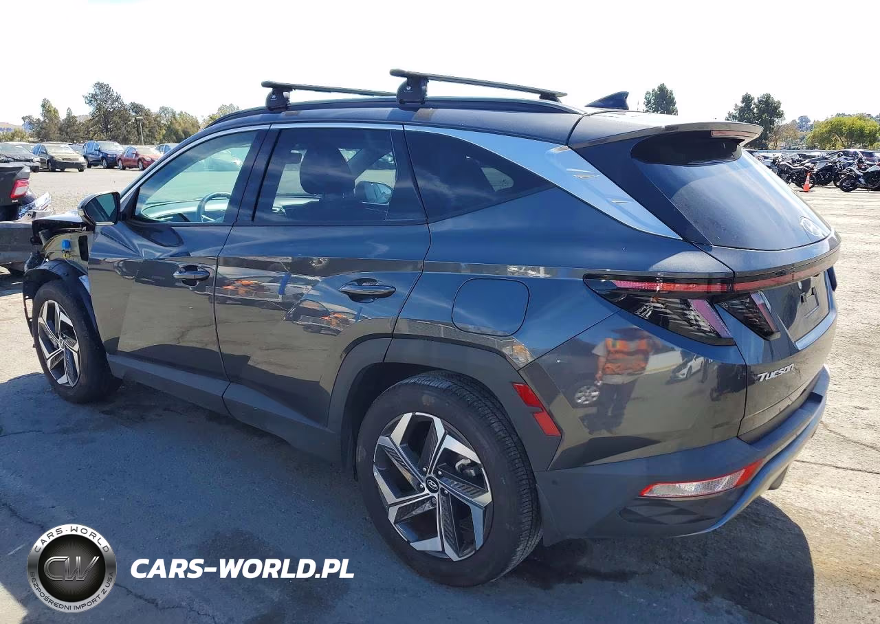 2024 Hyundai Tucson Limited VIN:5NMJE3DEXRH309789 - 2