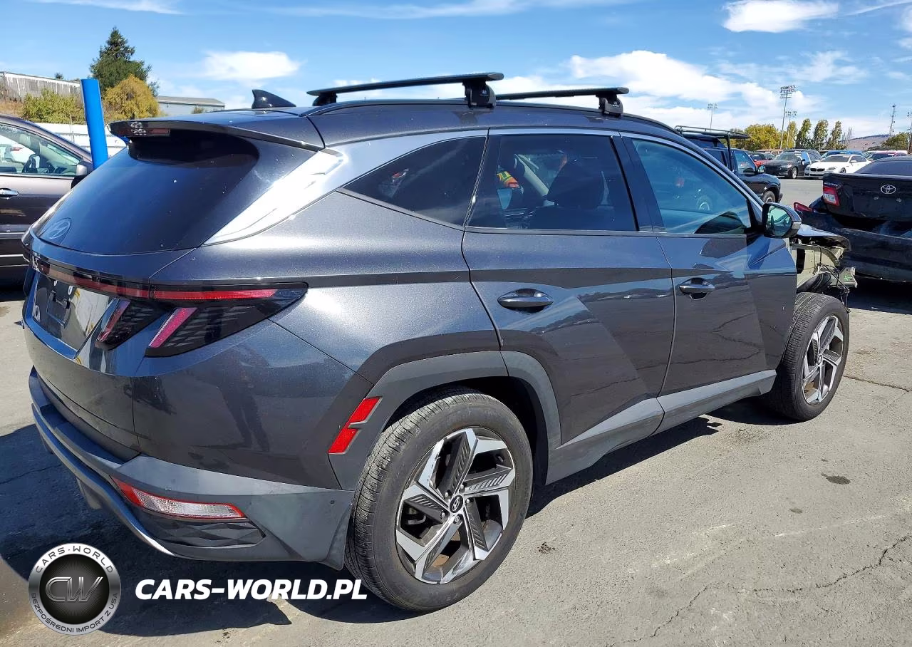 2024 Hyundai Tucson Limited VIN:5NMJE3DEXRH309789 - 3