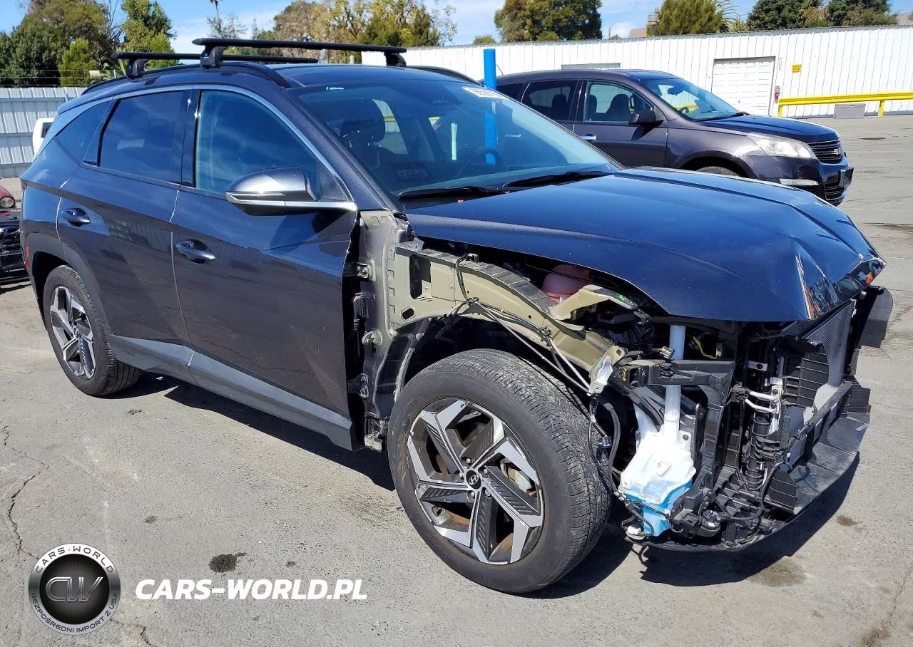 2024 Hyundai Tucson Limited VIN:5NMJE3DEXRH309789 - 4