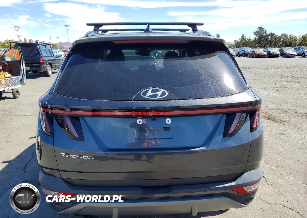 2024 Hyundai Tucson Limited VIN:5NMJE3DEXRH309789 - 6