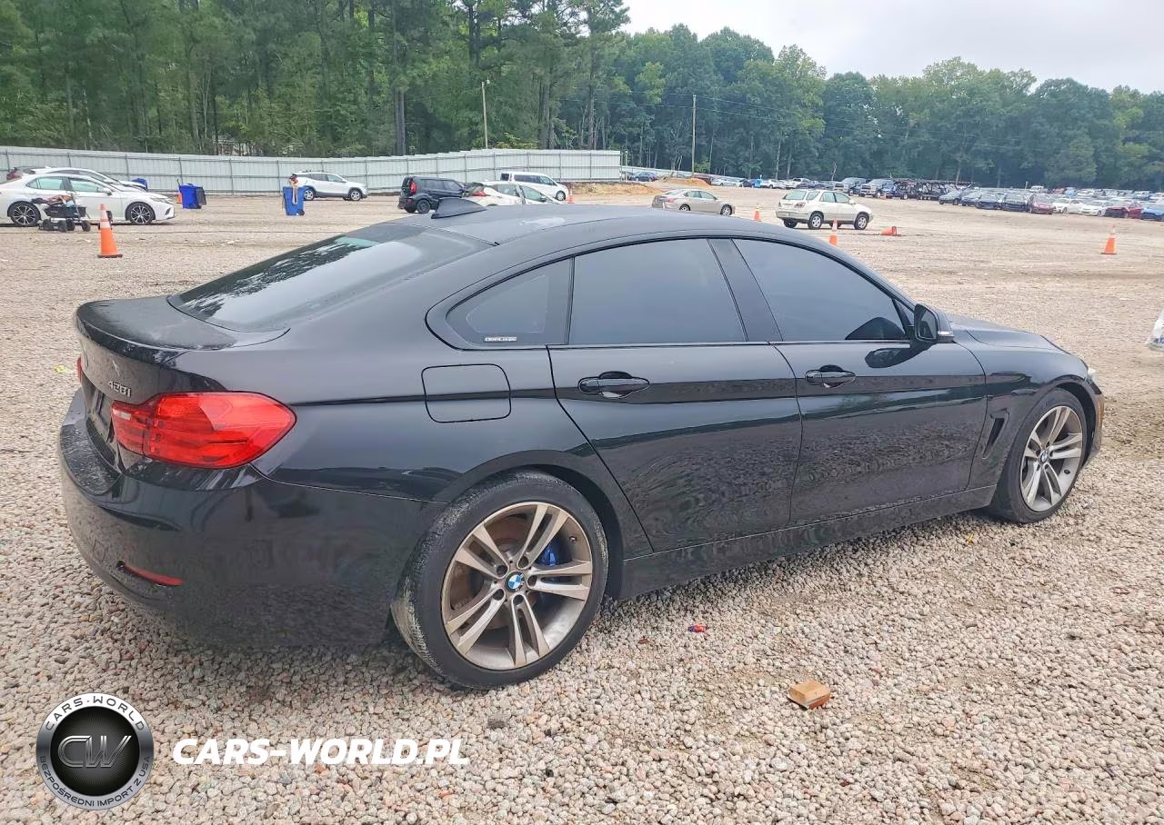 2015 BMW 428 I Gran Coupe VIN:WBA4A5C54FGK15882 - 3