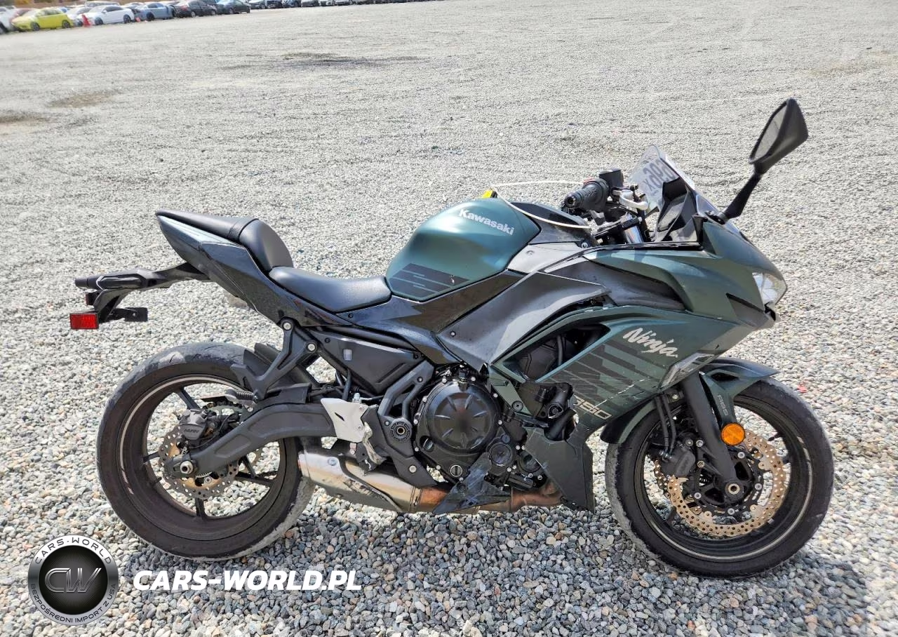 2025 Kawasaki Ex650 P – zdjęcie 1 z 9